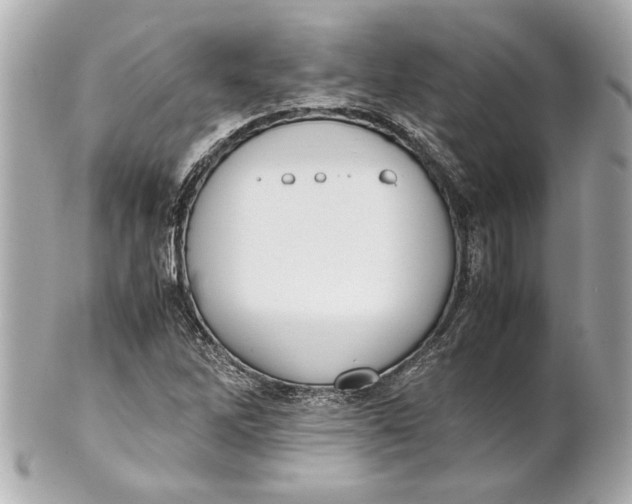 X0000101661262200807311427