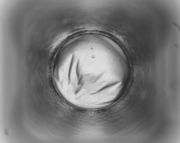 X0000101661263200807311427