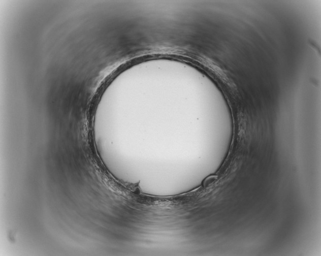 X0000101661264200807311427