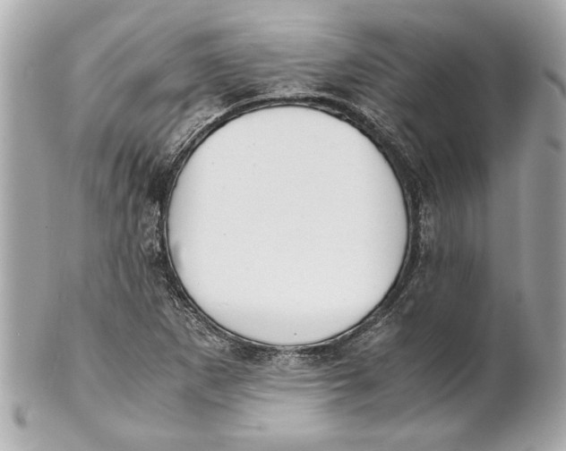 X0000101661265200807311427