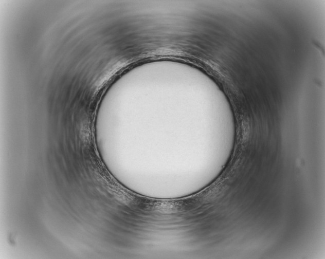 X0000101661266200807311427