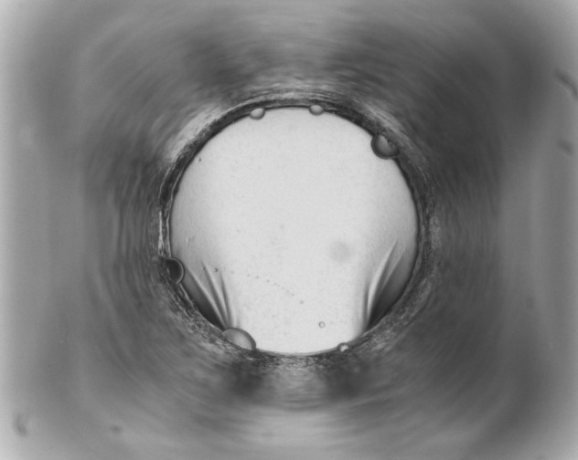 X0000101661267200807311427