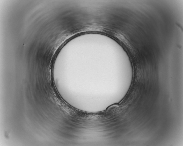 X0000101661268200807311427