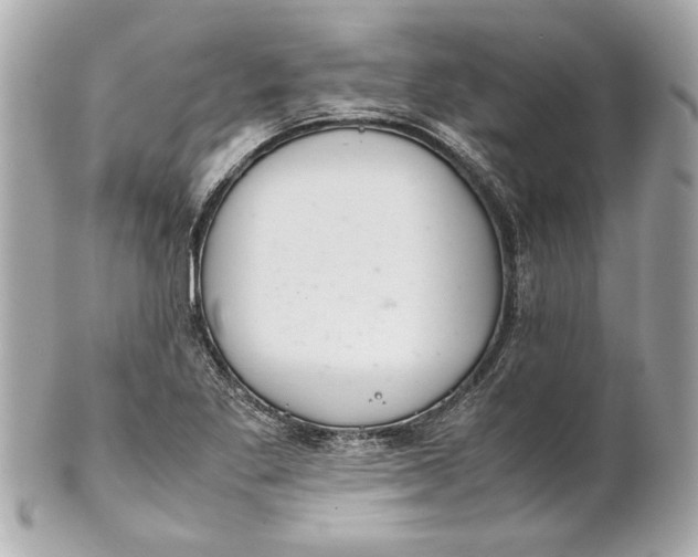 X0000101661269200807311427