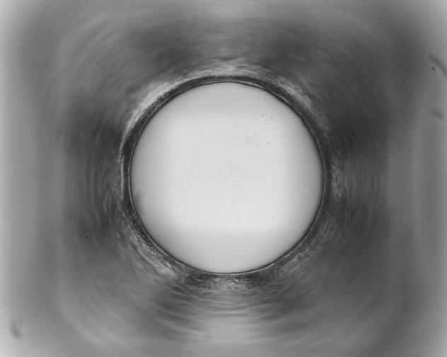 X0000101661270200807311427