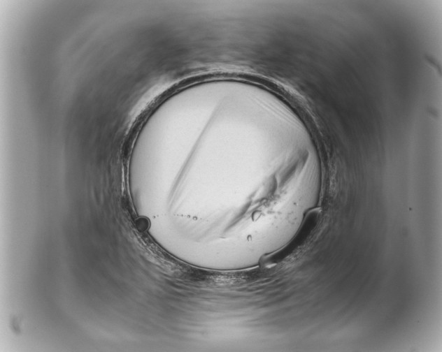 X0000101661271200807311427