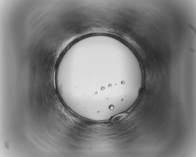 X0000101661272200807311427