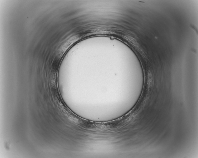 X0000101661273200807311427