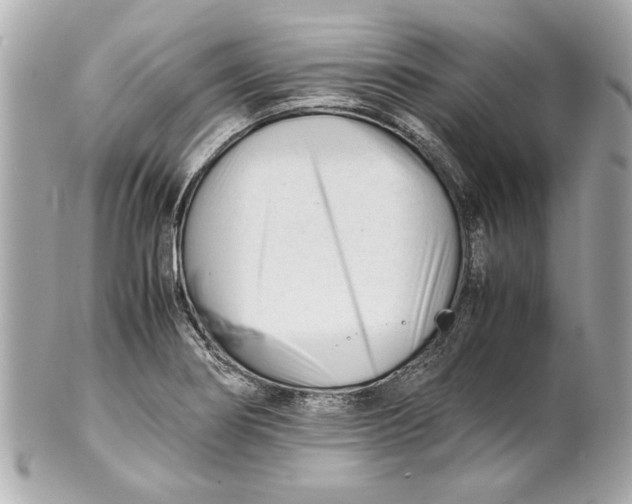 X0000101661274200807311427