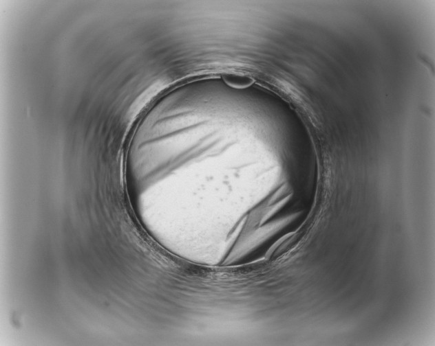 X0000101661275200807311427