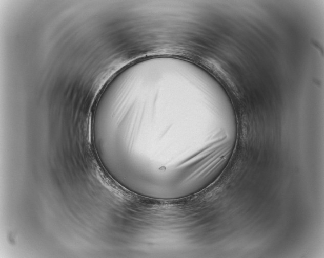 X0000101661276200807311427