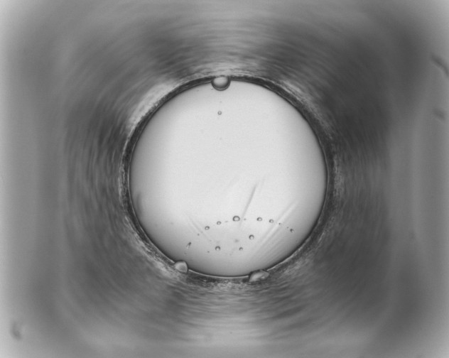 X0000101661277200807311427