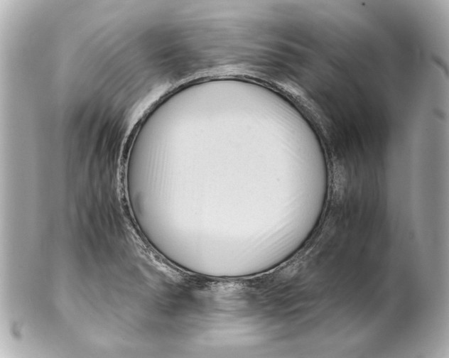 X0000101661278200807311427