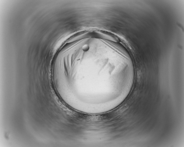 X0000101661279200807311427