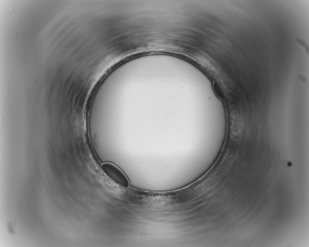 X0000101661280200807311427