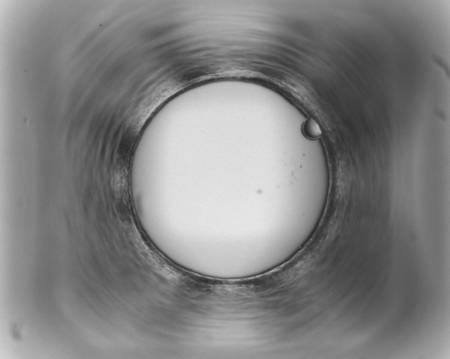 X0000101661281200807311427