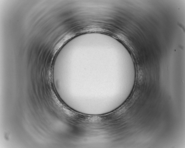 X0000101661282200807311427