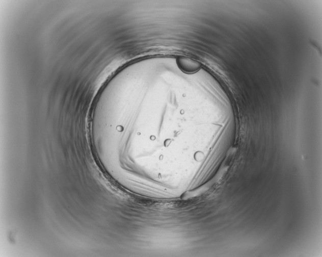 X0000101661283200807311427