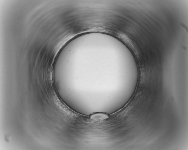 X0000101661284200807311427