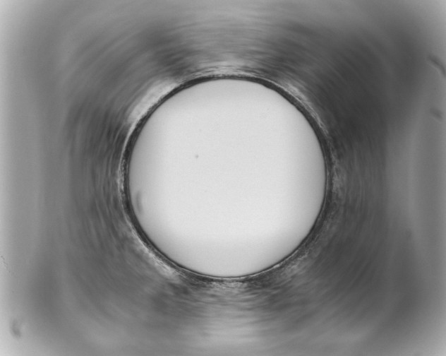 X0000101661285200807311427