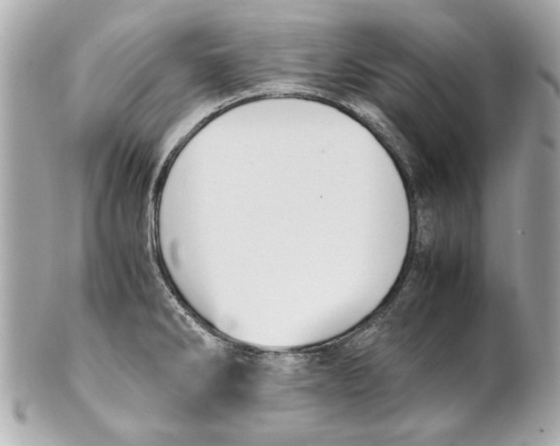 X0000101661286200807311427