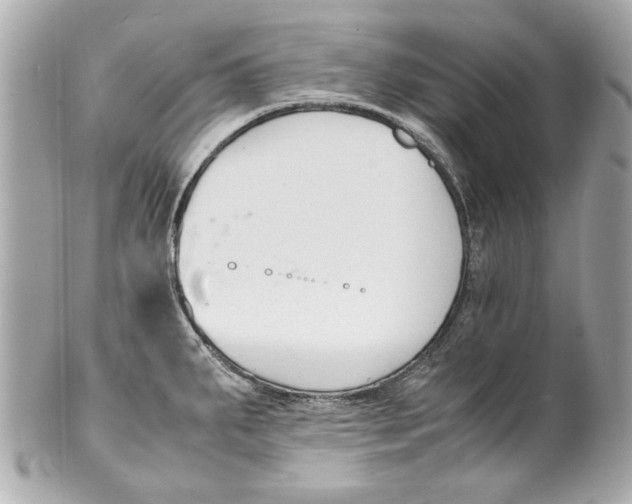 X0000101661287200807311427