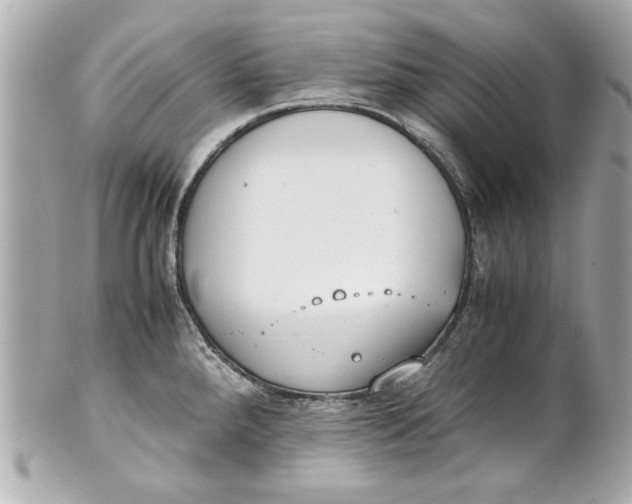 X0000101661288200807311427