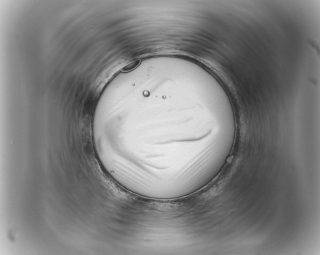 X0000101661289200807311427