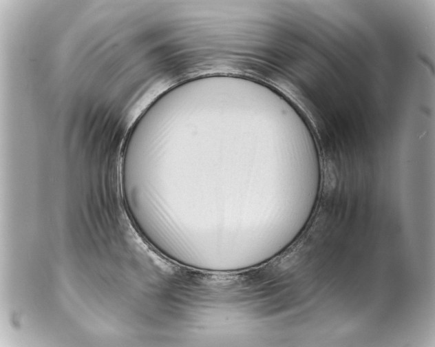 X0000101661290200807311427