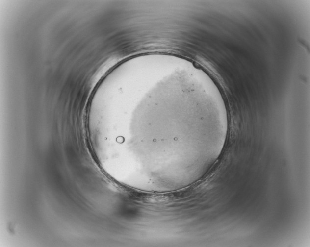 X0000101661291200807311427