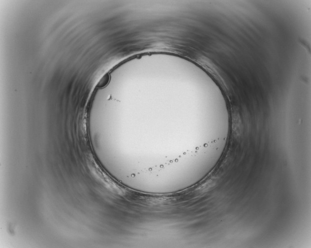 X0000101661292200807311427