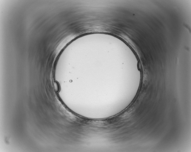 X0000101661293200807311427