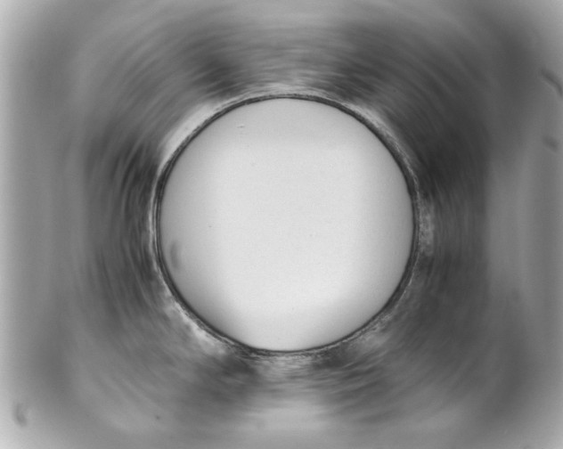 X0000101661294200807311427