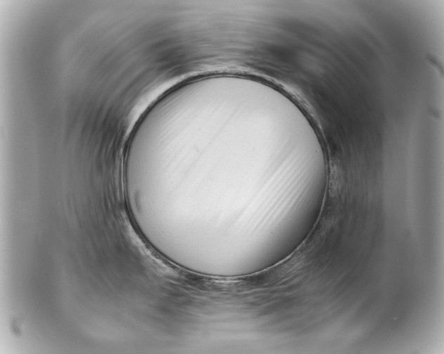 X0000101661295200807311427