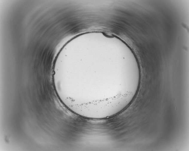 X0000101661296200807311427