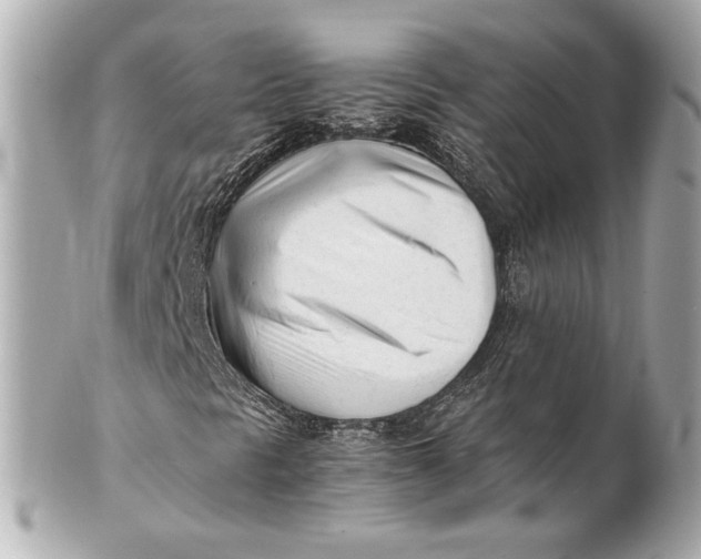 X0000101661297200807311426