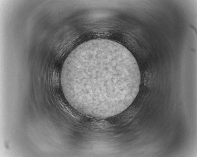 X0000101661298200807311426