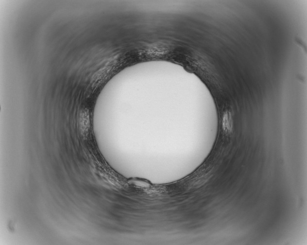 X0000101661299200807311426