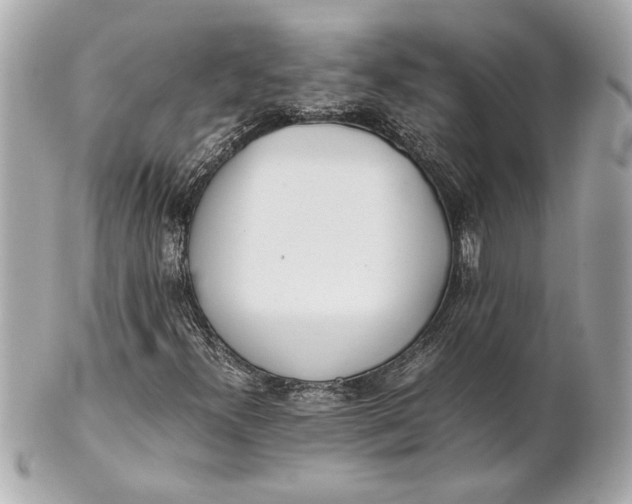 X0000101661300200807311426