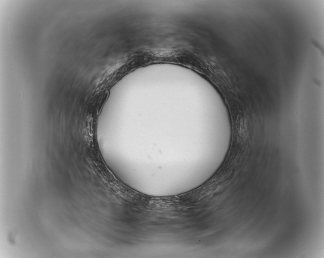 X0000101661301200807311426