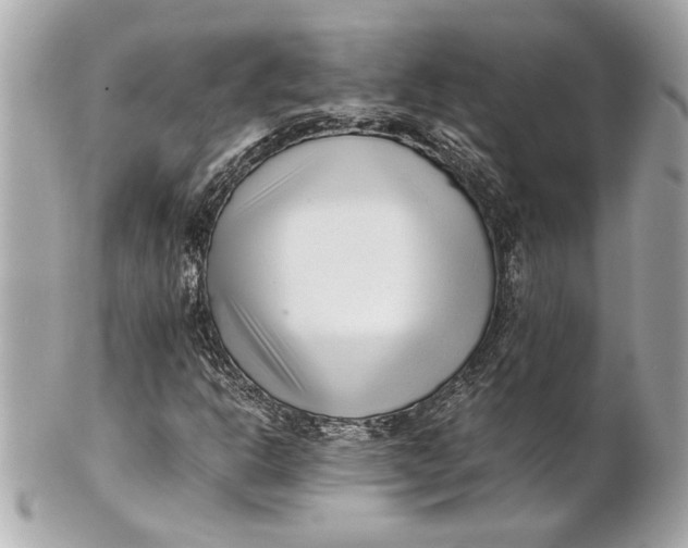 X0000101661302200807311426