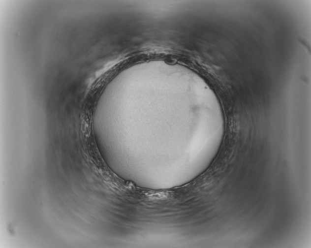 X0000101661303200807311426