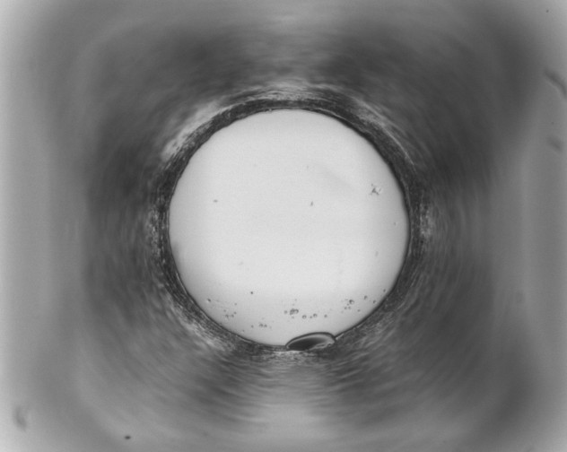 X0000101661304200807311426