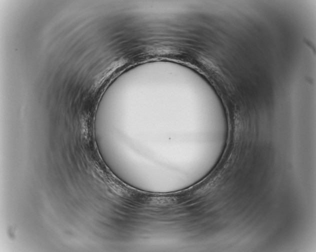 X0000101661305200807311426