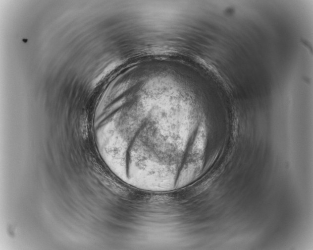 X0000101661306200807311426