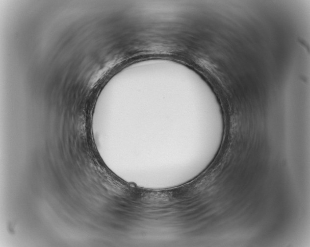 X0000101661307200807311426