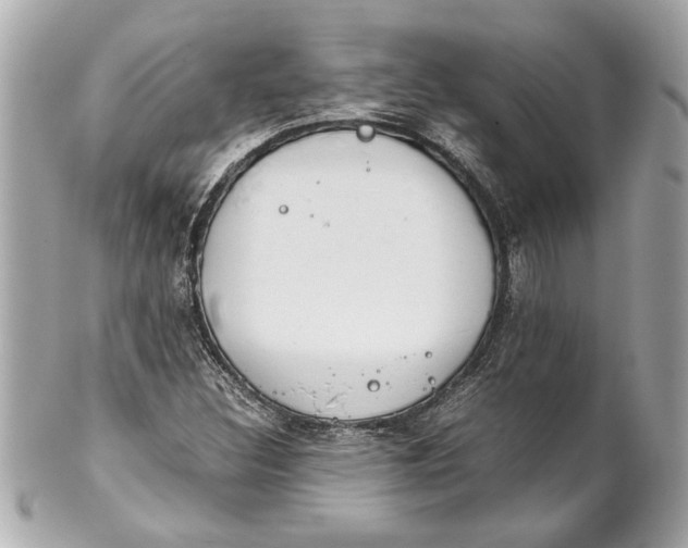 X0000101661308200807311426