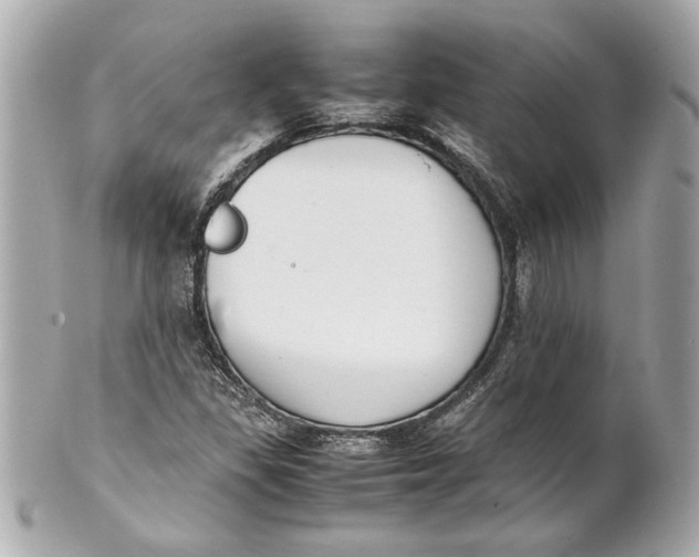 X0000101661309200807311426