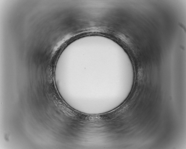 X0000101661310200807311426