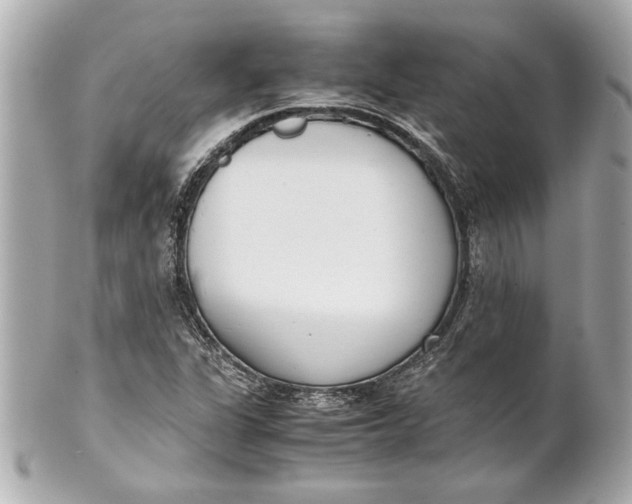 X0000101661311200807311426